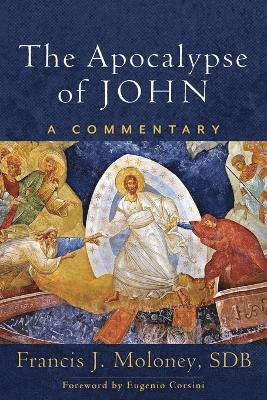 bokomslag Apocalypse of John