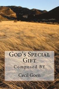 bokomslag God's Special Gift