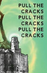 bokomslag Pull the Cracks: Poetry from the students at the University of Colorado Boulder, Advanced Poetry Workshop, Fall 2016