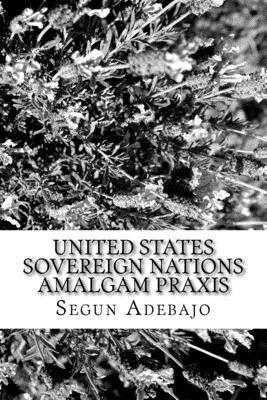 Segun Juwon Adebajo O. - United States Sovereign Nations Amalgam Praxis: The Great American Dreams, Häftad