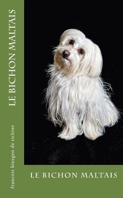 bokomslag bichon maltais