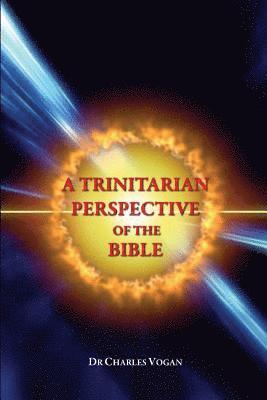 bokomslag A Trinitarian Perspective of the Bible