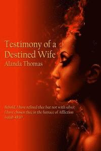 bokomslag Testimony of a Destined Wife