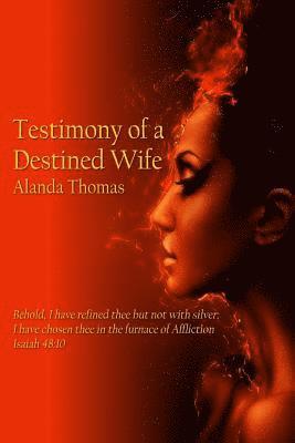 bokomslag Testimony of a Destined Wife