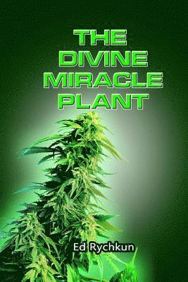 The Divine Miracle Plant: Kaneh Bosm alias Hemp Cannabis Marijuana