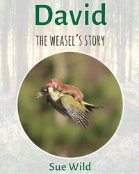 bokomslag David: The weasel's story