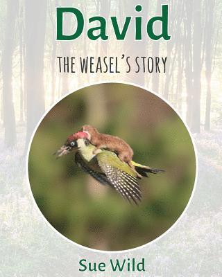 David: The weasel's story 1