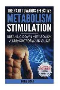 bokomslag The Path Towards Effective Metabolism Stimulation: Breaking Down Metabolism - A Straightforward Guide