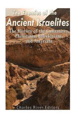 bokomslag The Enemies of the Ancient Israelites: The History of the Canaanites, Philistines, Babylonians, and Assyrians