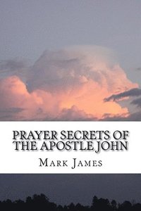 bokomslag Prayer Secrets of the Apostle John
