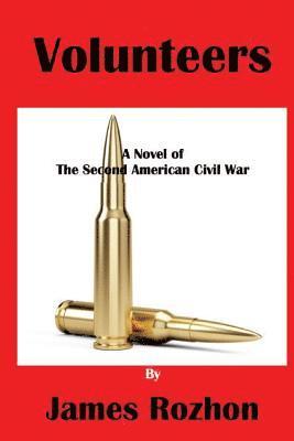 James A. Rozhon - Volunteers: A Novel of The Second American Civil war, Häftad