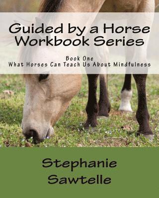 bokomslag Guided by a Horse Workbook Series