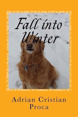 bokomslag Fall into Winter: Poetry for Children