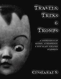 bokomslag Travels, Treks & Tromps: A Compendium of Gothic, Atmospheric, and Just Plain Strange Snapshots