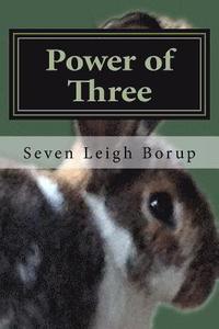 bokomslag Power of Three