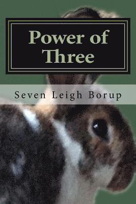 Seven Leigh Borup - Power of Three, Häftad