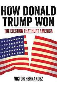 bokomslag How Donald Trump Won: The Election That Hurt America