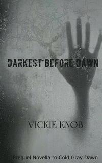 bokomslag Darkest Before Dawn: Prequel to the Dawn Series