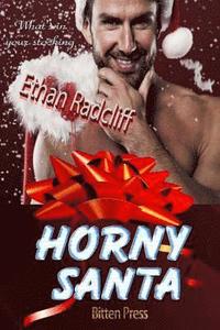 bokomslag Horny Santa