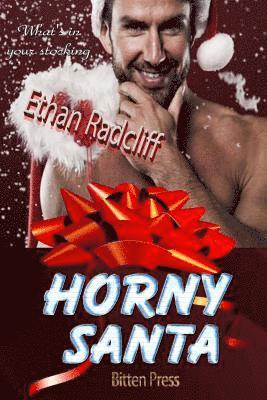 Ethan Radcliff - Horny Santa, Häftad