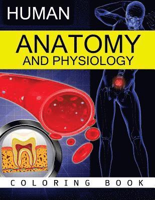 Anatomy & Physiology Coloring Book 1