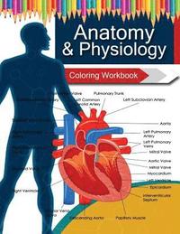 bokomslag Anatomy & Physiology Coloring WorkBook Books