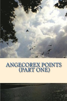 Angecorex Points (Part One) 1