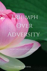 bokomslag Triumph Over Adversity