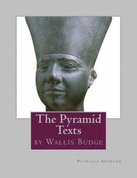 bokomslag The Pyramid Texts: by EA Wallis Budge