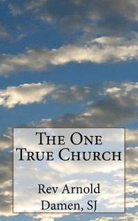 bokomslag The One True Church