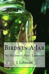 bokomslag Birds In A Jar: BY Midwest Poet Laureate
