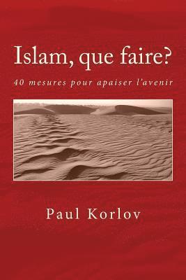 bokomslag Islam, que faire?: 40 mesures pour apaiser l'avenir