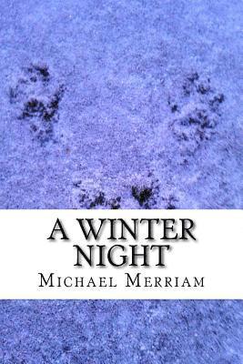 Michael Merriam - A Winter Night, Häftad