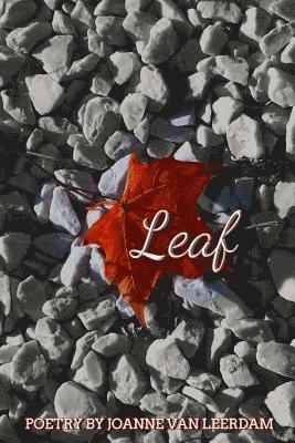 Leaf 1