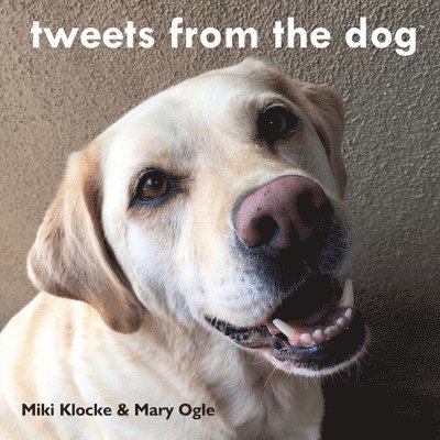 tweets from the dog 1