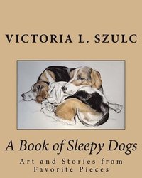 bokomslag A Book of Sleepy Dogs: Art and Stories from Favorite Pieces