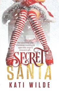 bokomslag Secret Santa