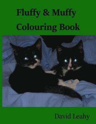 bokomslag Fluffy & Muffy Colouring Book: Cats Colouring Book
