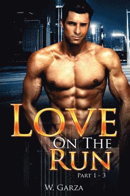 Love On The Run: Part 1 - 3 1