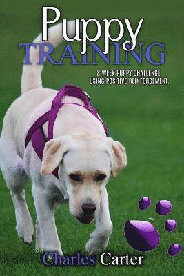 Puppy Training: 8-week puppy challenge using positive reinforcement 1