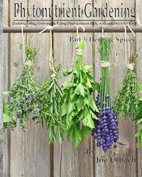 bokomslag Phytonutrient Gardening - Part 3 Herbs and Spices: Understanding, Growing and Eating Phytonutrient-Rich, Antioxidant-Dense Food