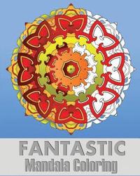 bokomslag Fantastic Mandala Coloring: Coloring Meditation, Art Color Therapy, Stress Relieving Patterns, Promote Relaxation and Creative Color Your Imagination