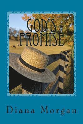 bokomslag God's Promise