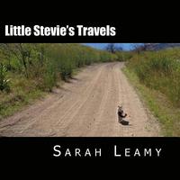bokomslag Little Stevie's Travels: The Camping Cat