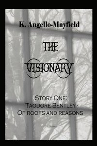 bokomslag Visionary - Taodore Bentley - Story One -Of Roofs and Reasons