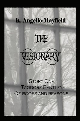 bokomslag The Visionary - Taodore Bentley - Story One -Of Roofs and Reasons