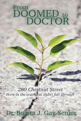 bokomslag From DOOMED to DOCTOR 280 Chestnut Street: Born in the Crack but Didn't FALL Through