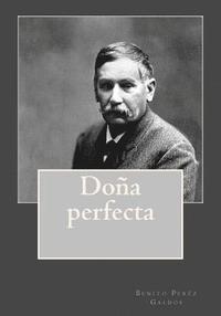 bokomslag Doña perfecta