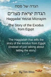 bokomslag Haggadat Yetziat Mitzrayim: The Story of the Exodus from Egypt