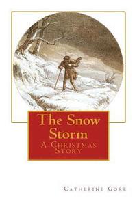 bokomslag The Snow Storm: A Christmas Story
